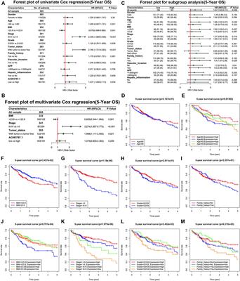 AC093797.1 as a Potential Biomarker to Indicate the Prognosis of Hepatocellular Carcinoma and Inhibits Cell Proliferation, Invasion, and Migration by Reprogramming Cell Metabolism and Extracellular Matrix Dynamics